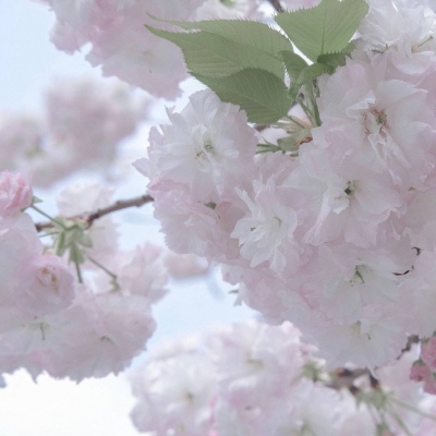 喀喇沁旗FurryQQ群介绍